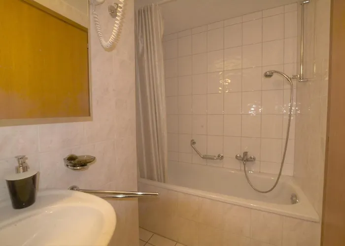 Rocailles C 6 A Avec Vue Sur Les Alpes